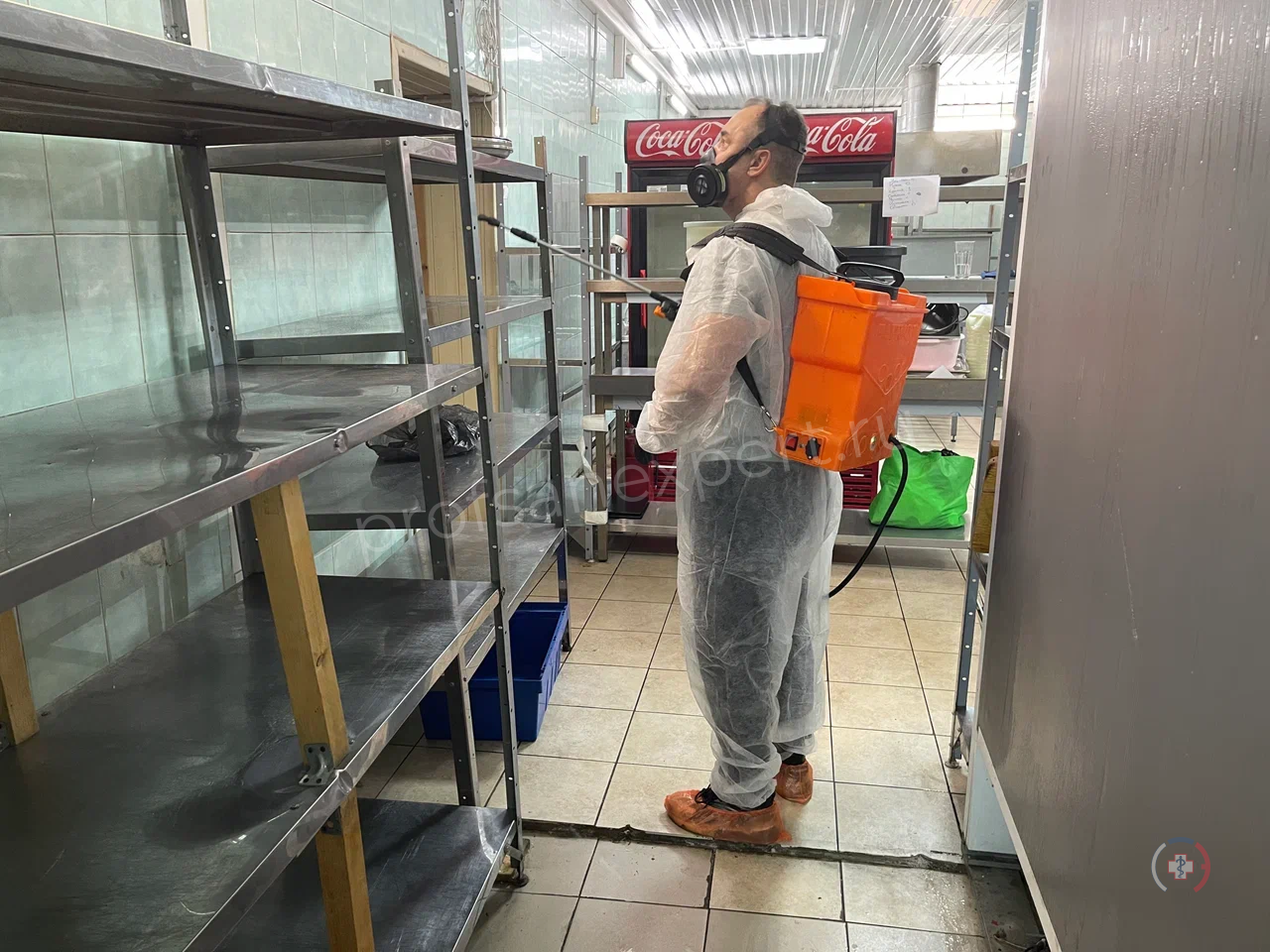 Как избавиться от тараканов навсегда